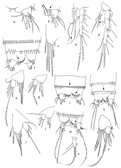 Diversity 15 00094 g002