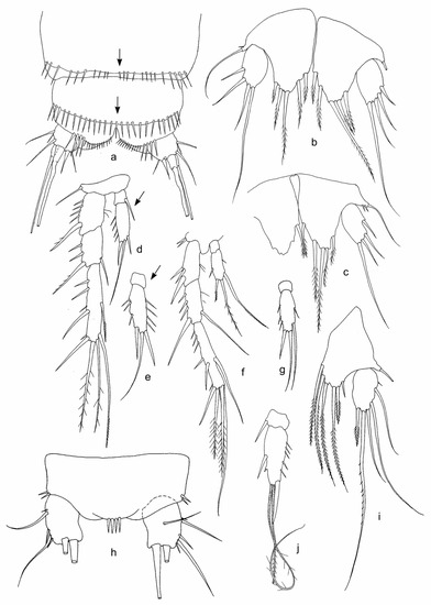 Diversity 15 00094 g003