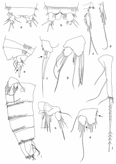 Diversity 15 00094 g004