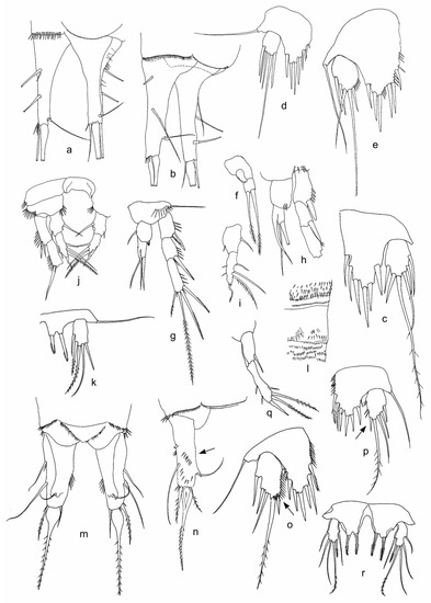 Diversity 15 00094 g005