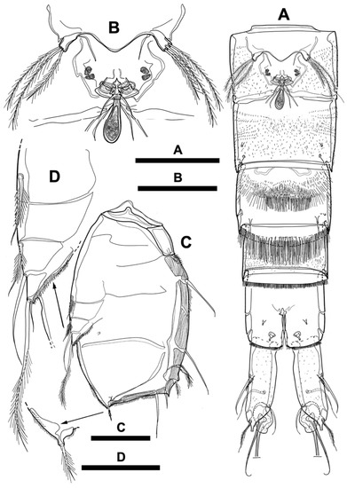 Diversity 15 00097 g009