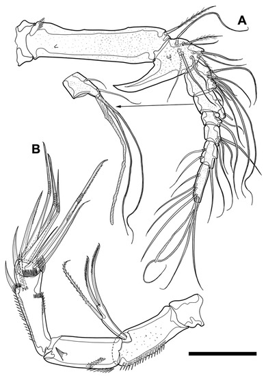 Diversity 15 00097 g010