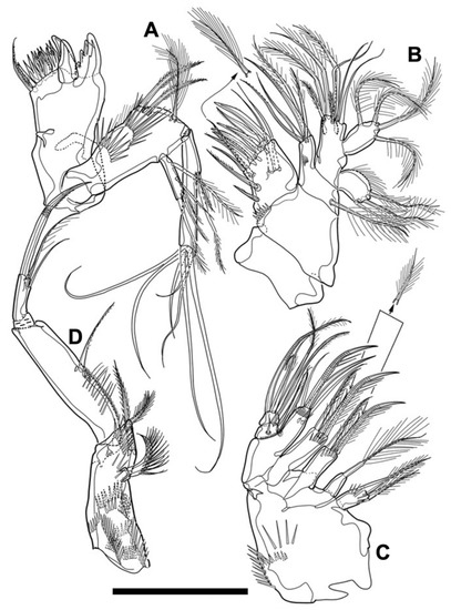 Diversity 15 00097 g011