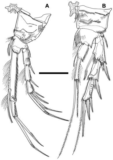 Diversity 15 00097 g012