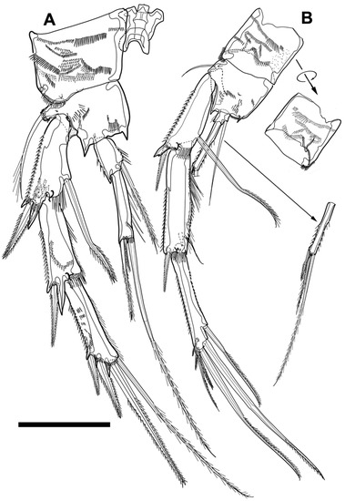 Diversity 15 00097 g013