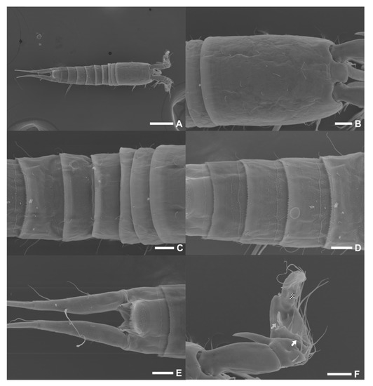 Diversity 15 00097 g014