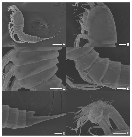 Diversity 15 00097 g015