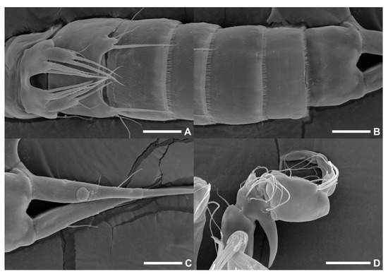 Diversity 15 00097 g016