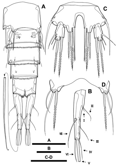 Diversity 15 00097 g018