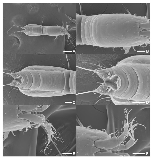 Diversity 15 00097 g021