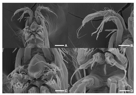 Diversity 15 00097 g024