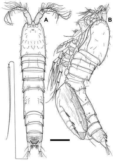 Diversity 15 00097 g025