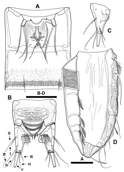 Diversity 15 00097 g026