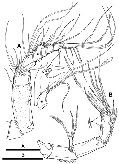 Diversity 15 00097 g027