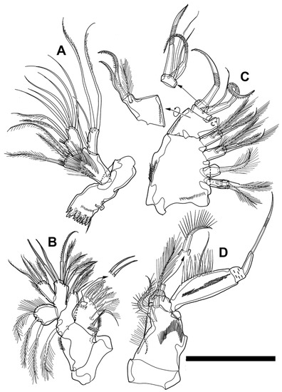 Diversity 15 00097 g028