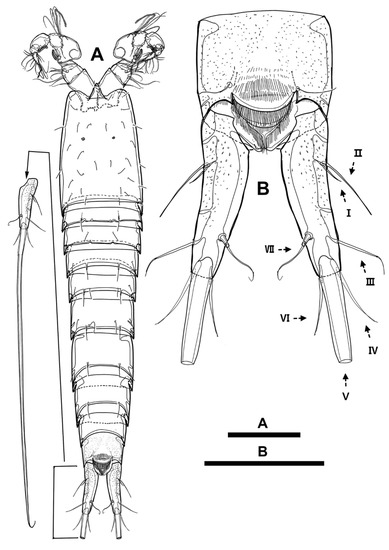 Diversity 15 00097 g034