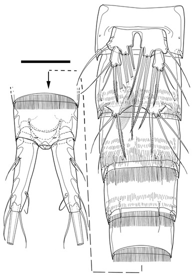 Diversity 15 00097 g035