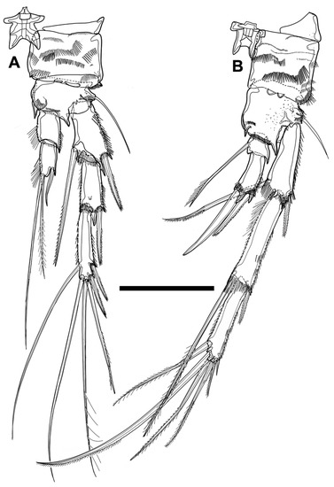 Diversity 15 00097 g037