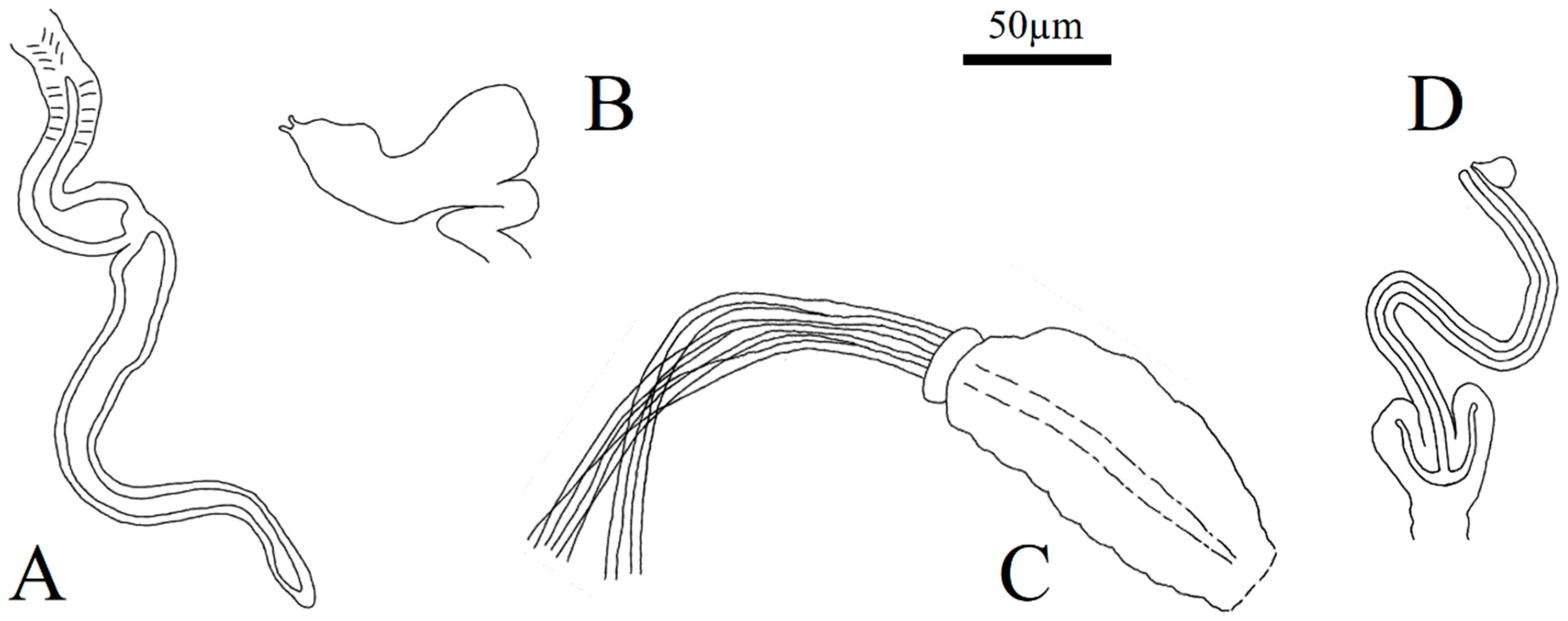 Diversity 15 00106 g001 Diversity 15 00106 g001
