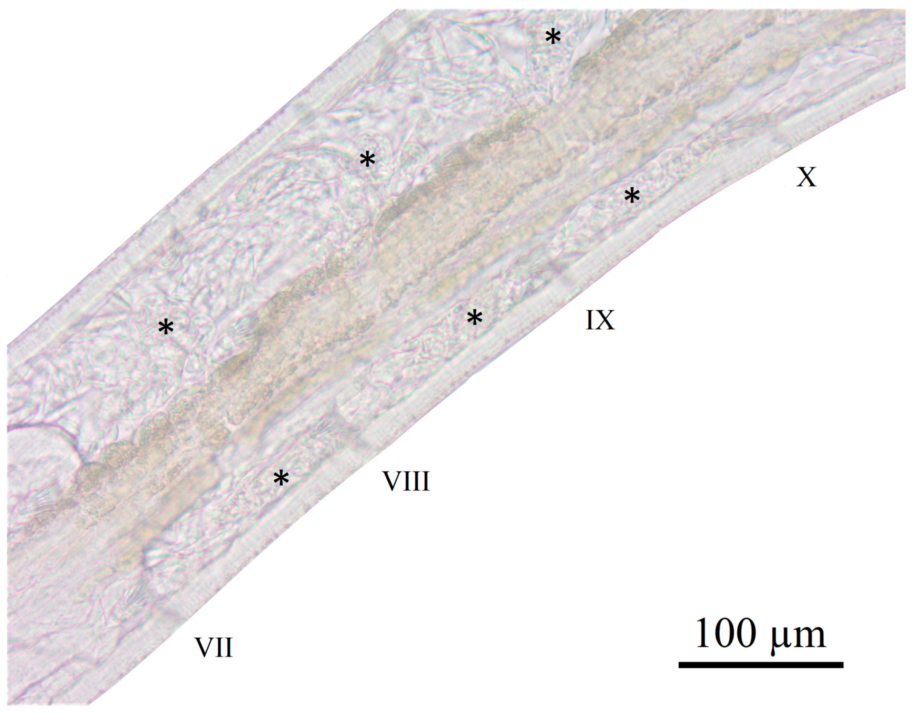 Diversity 15 00106 g002 Diversity 15 00106 g002