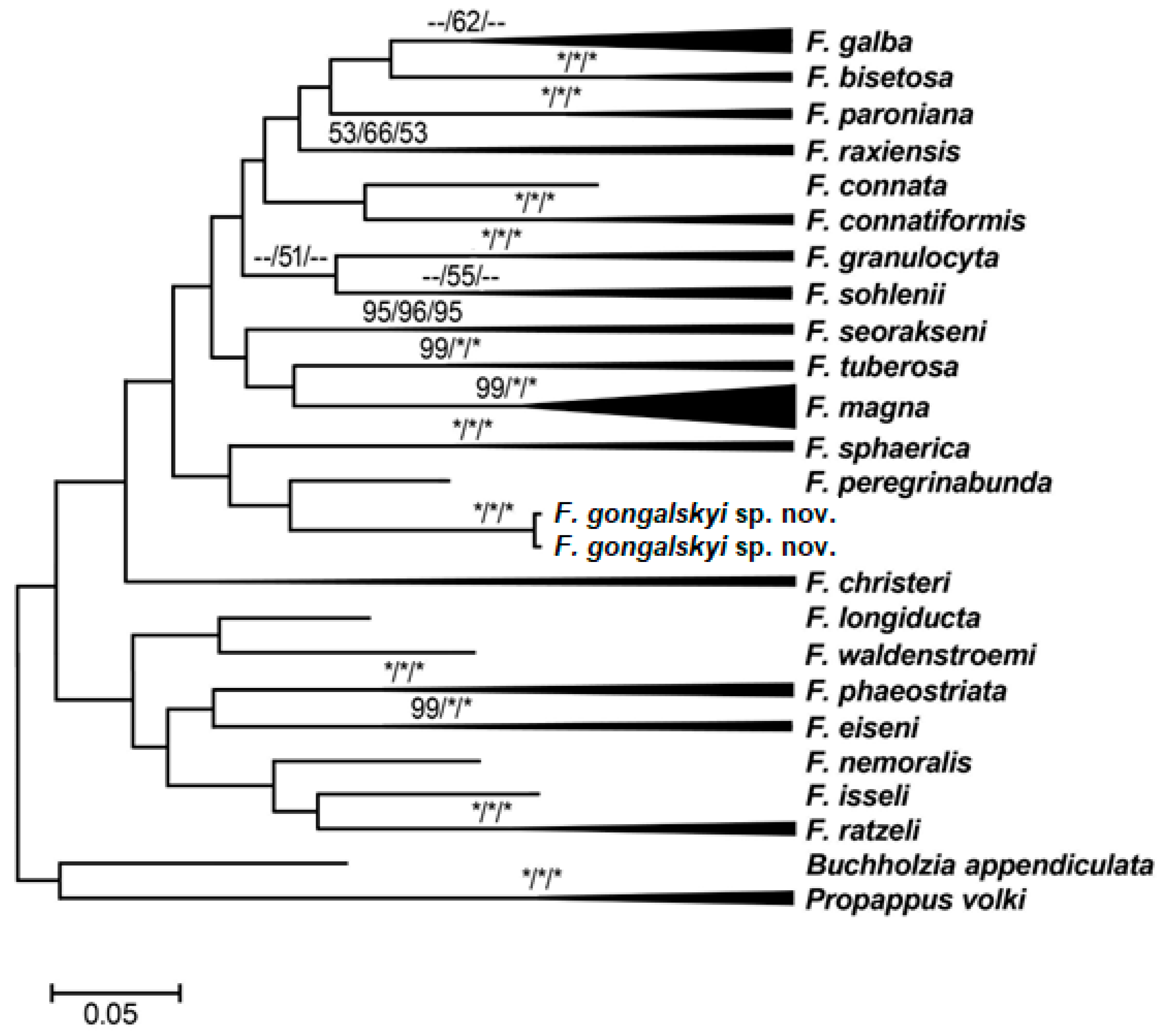 Diversity 15 00106 g004 Diversity 15 00106 g004