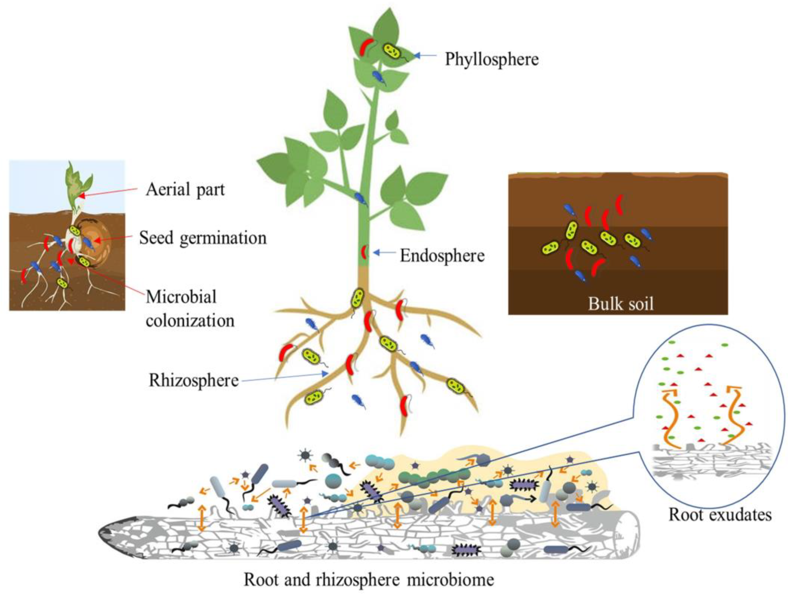 Diversity 15 00112 g001