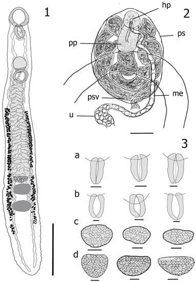 Diversity 15 00119 g001