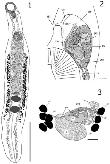 Diversity 15 00119 g002