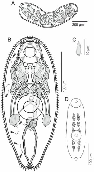 Diversity 15 00121 g006