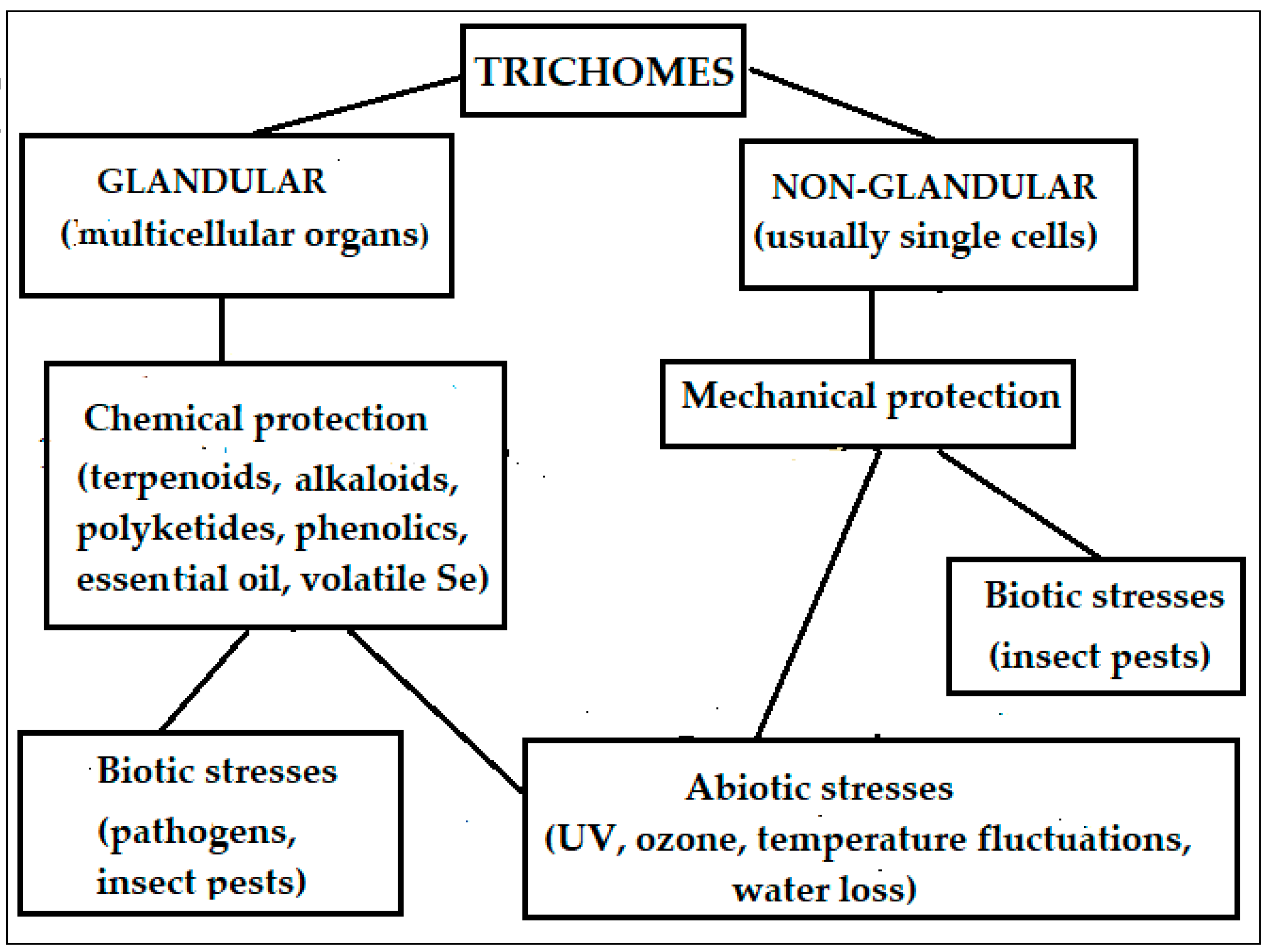 Diversity 15 00123 g002