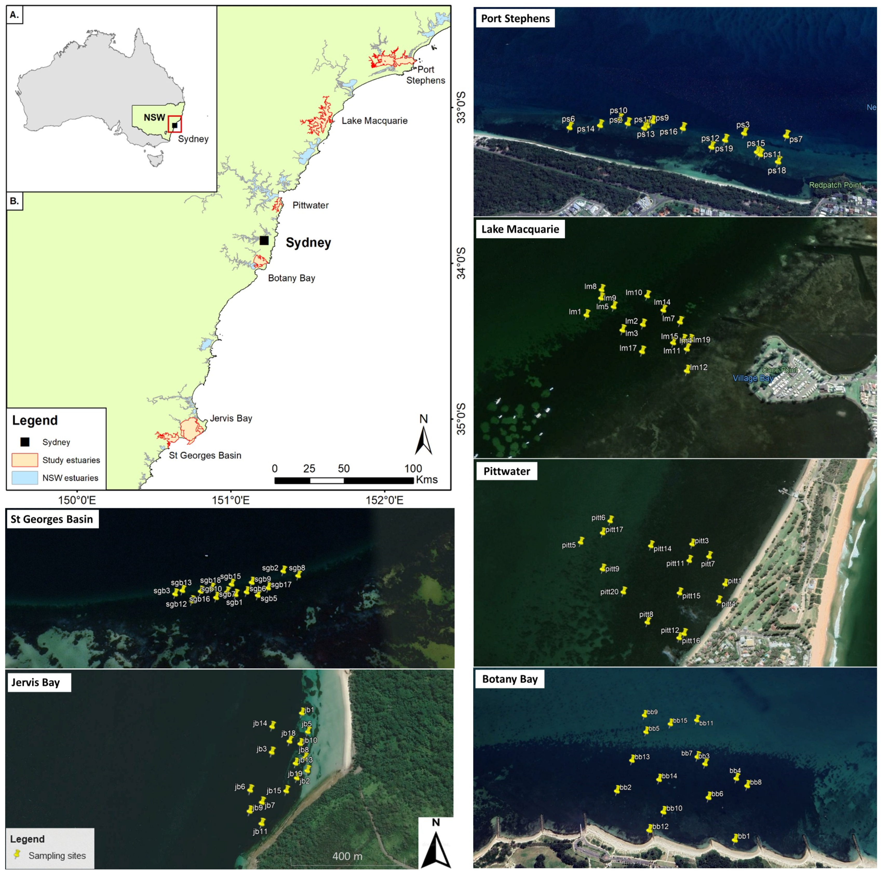 Diversity 15 00125 g001 Diversity 15 00125 g001