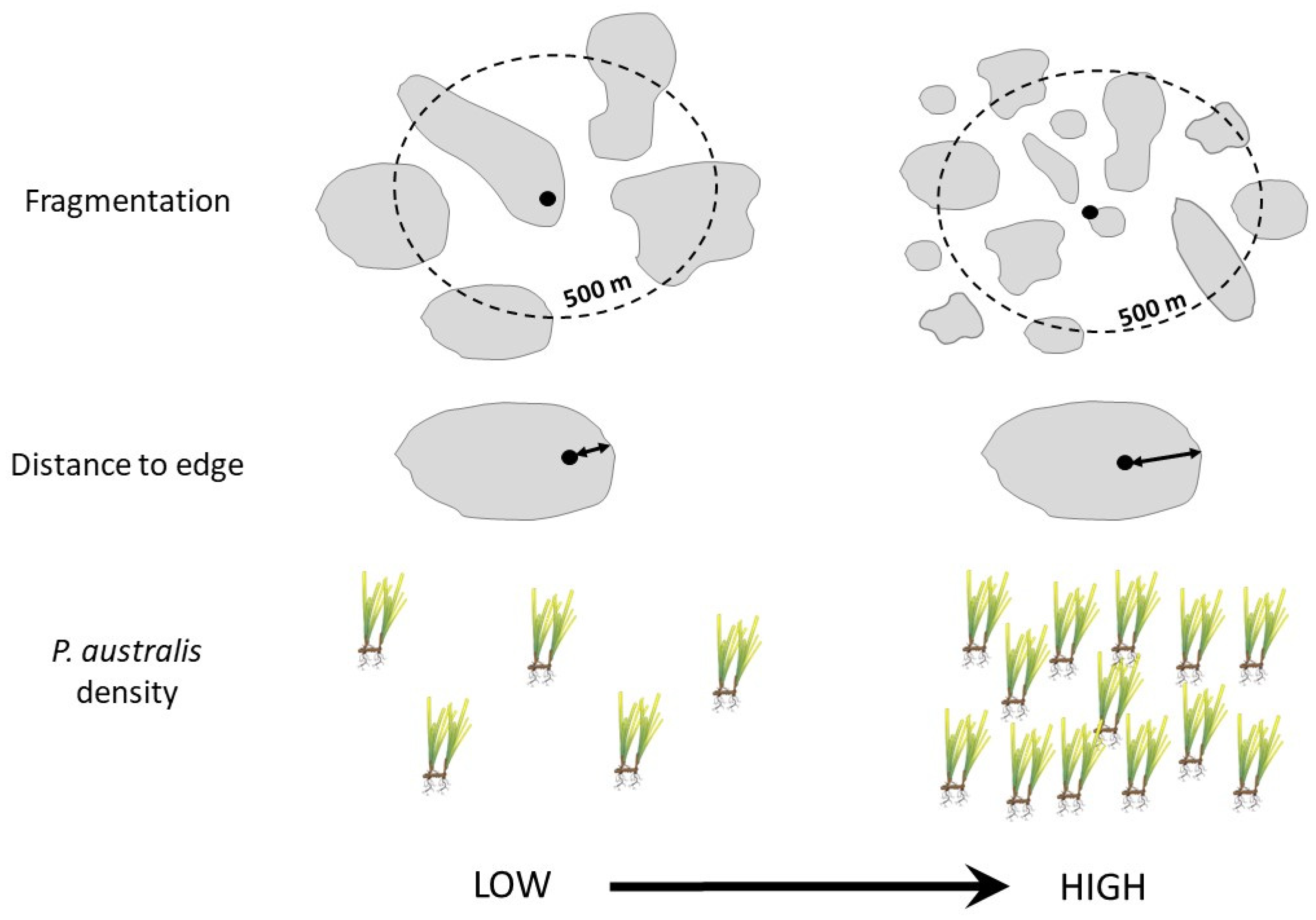 Diversity 15 00125 g002 Diversity 15 00125 g002