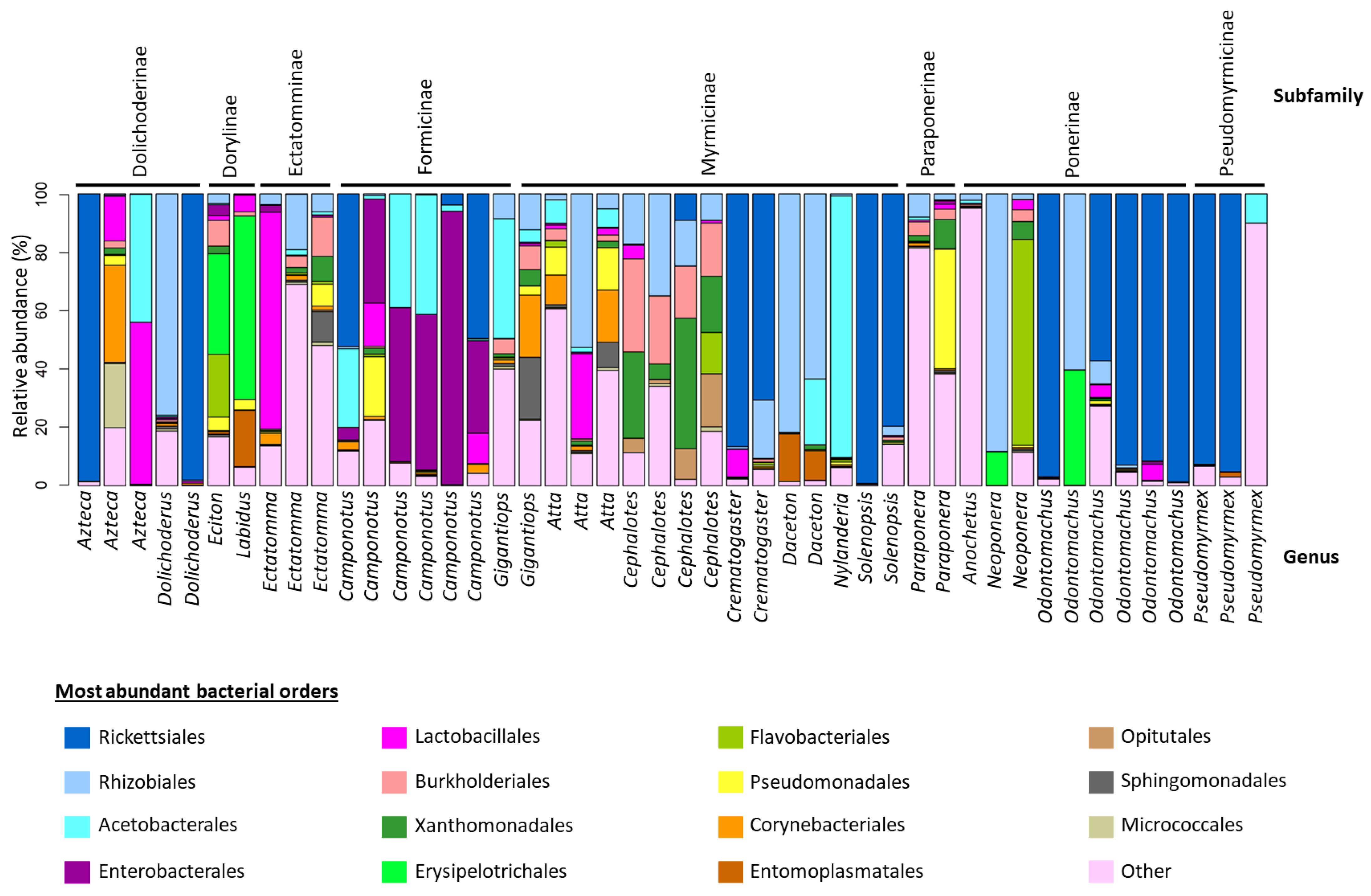 Diversity 15 00126 g001