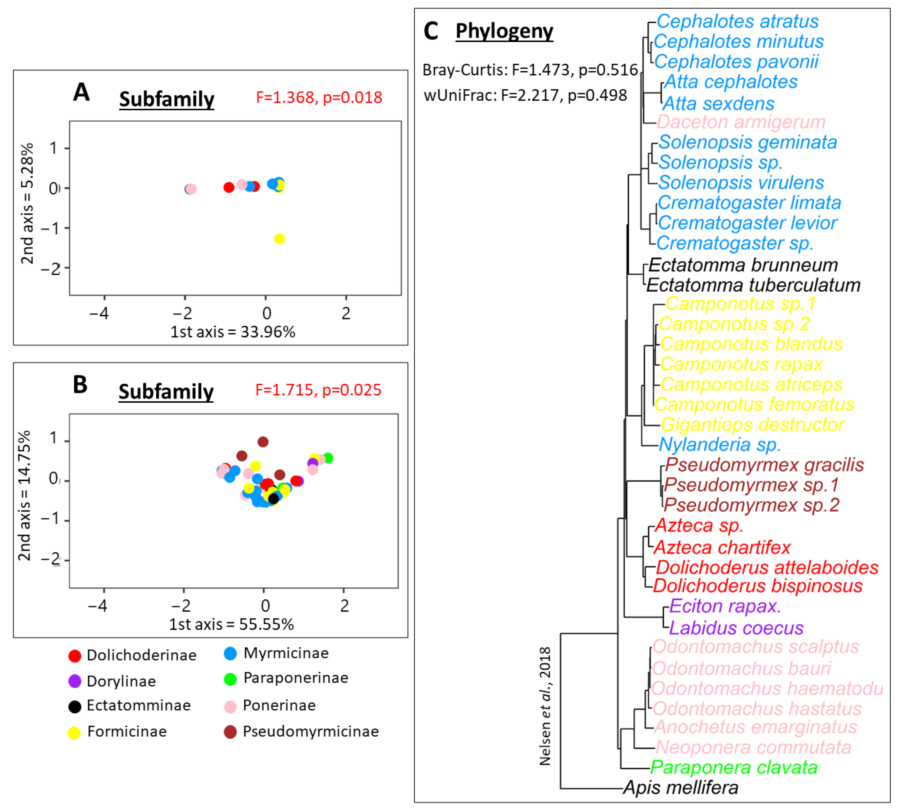 Diversity 15 00126 g003