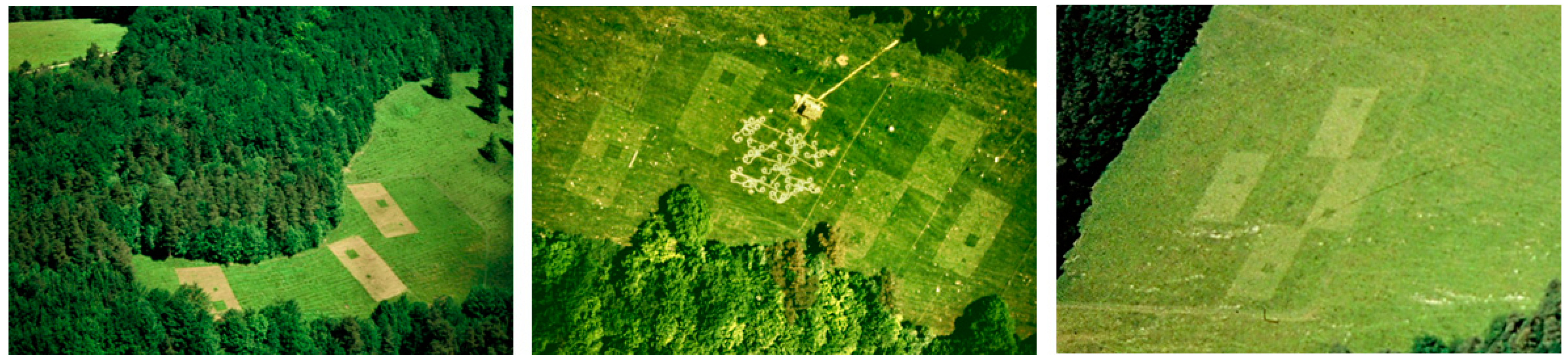 Diversity 15 00130 g001