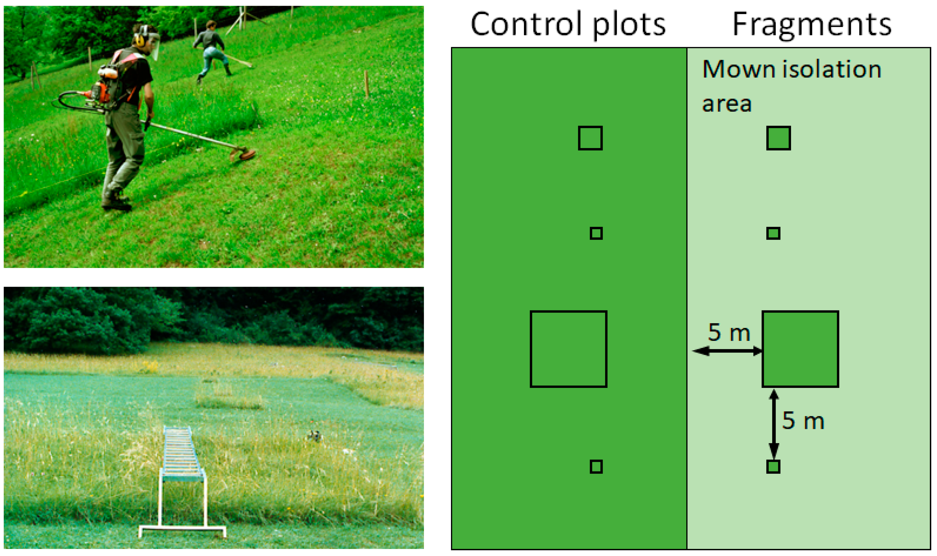 Diversity 15 00130 g002