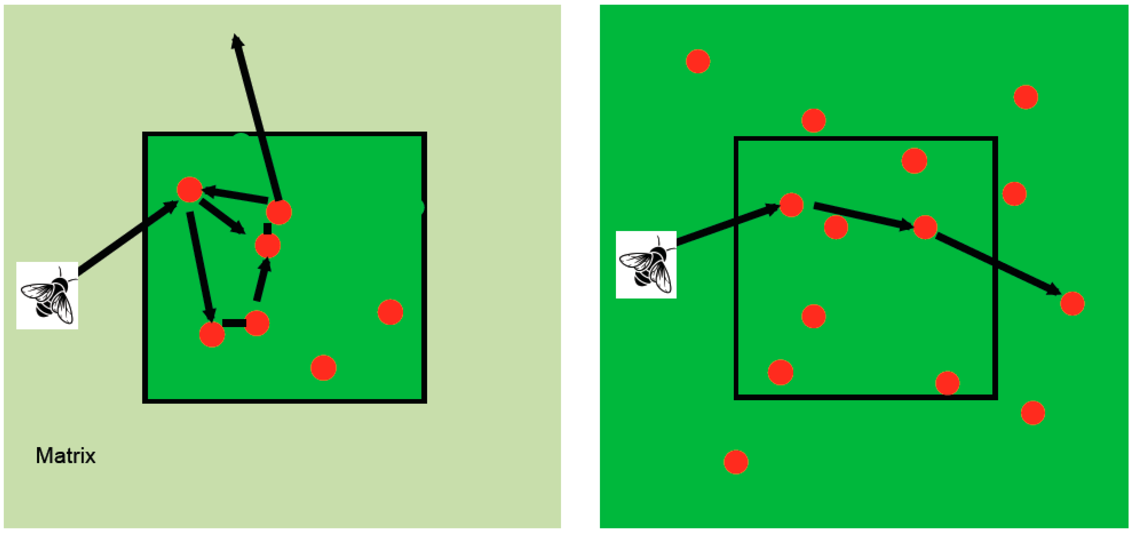 Diversity 15 00130 g007