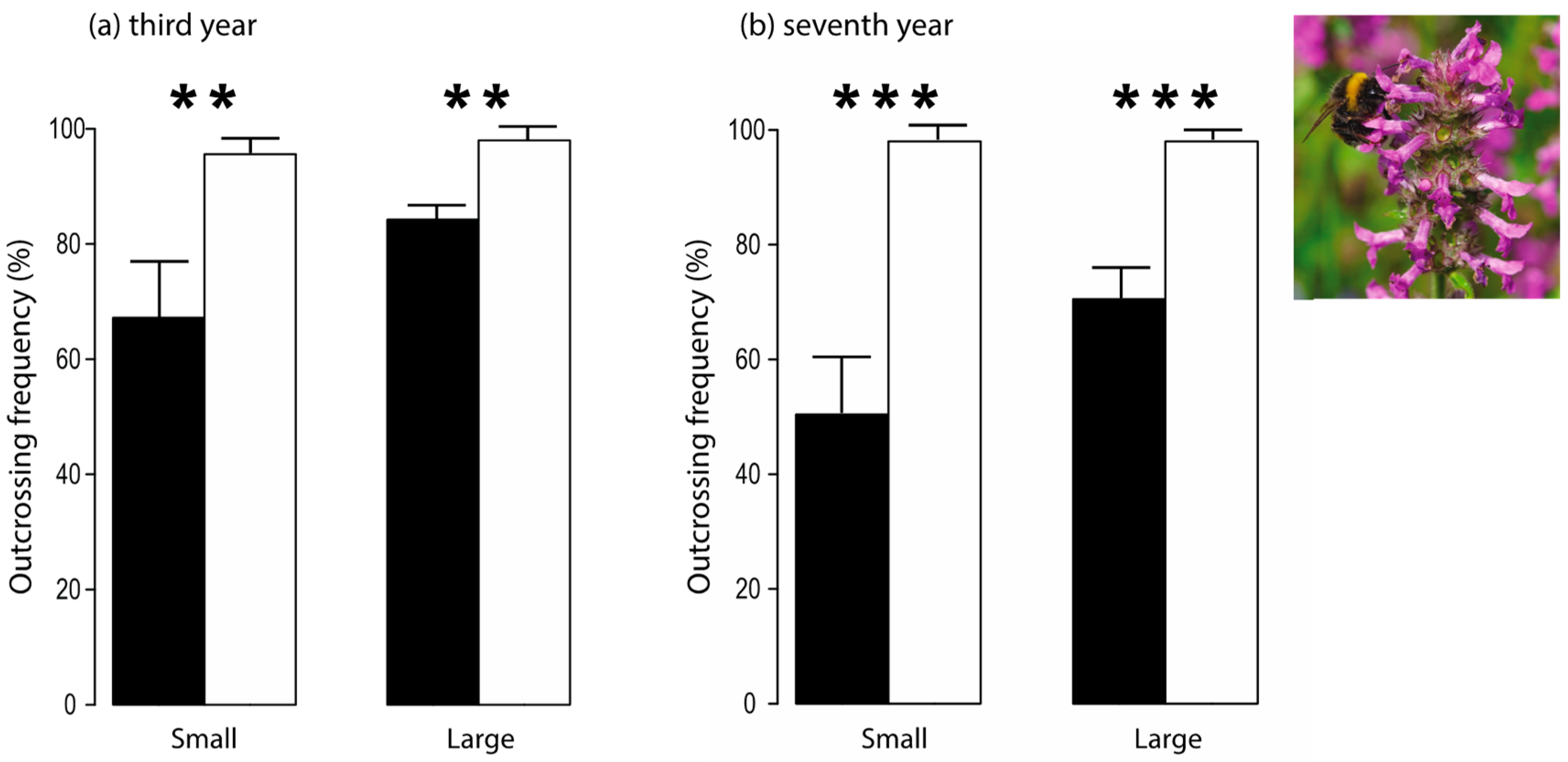 Diversity 15 00130 g008