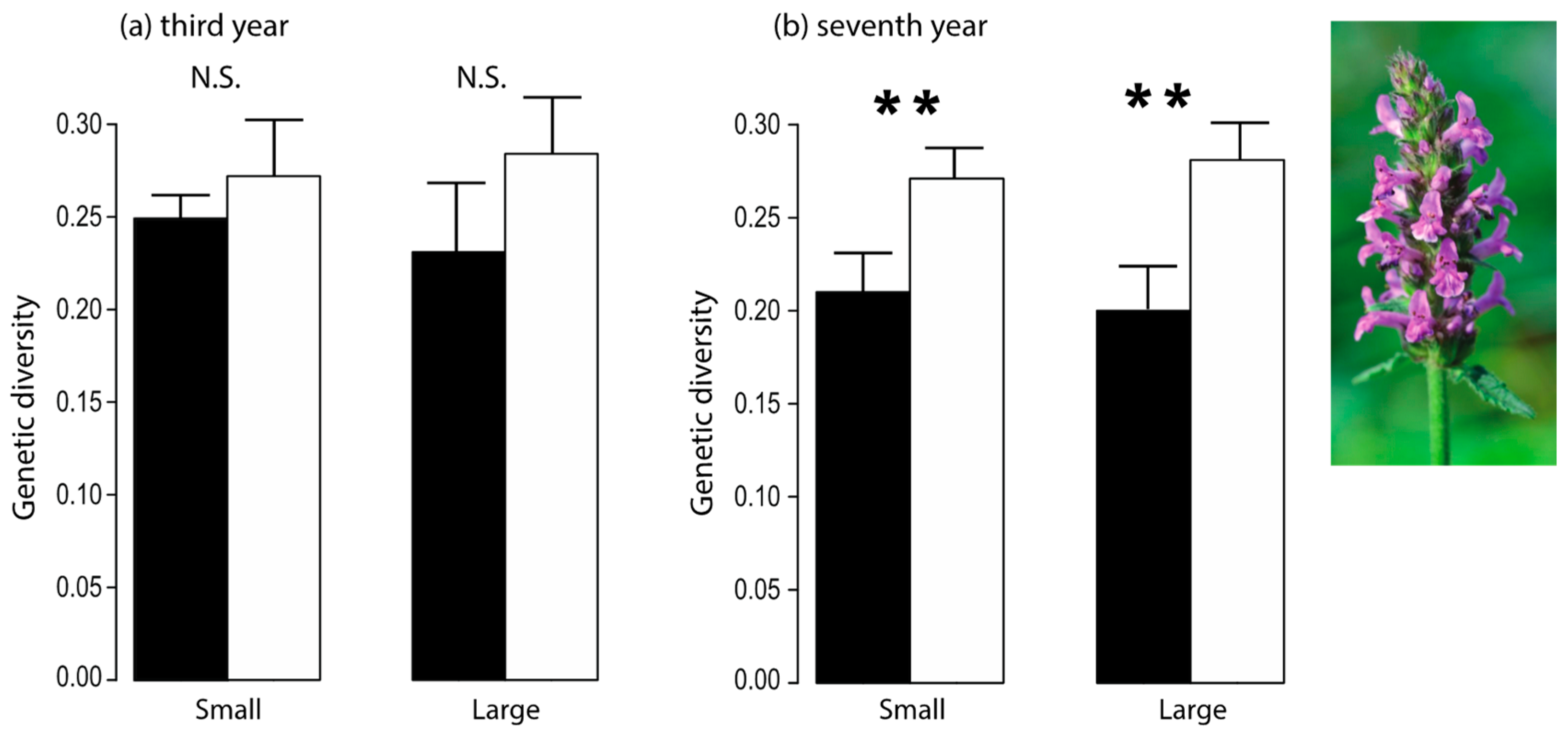 Diversity 15 00130 g009