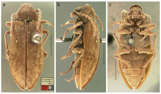 Diversity 15 00131 g001