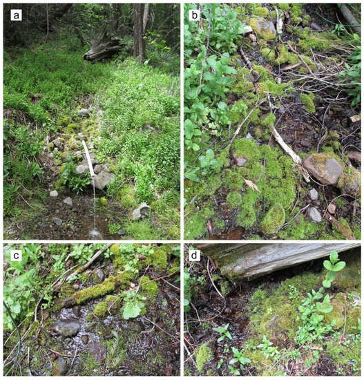 Diversity 15 00131 g006