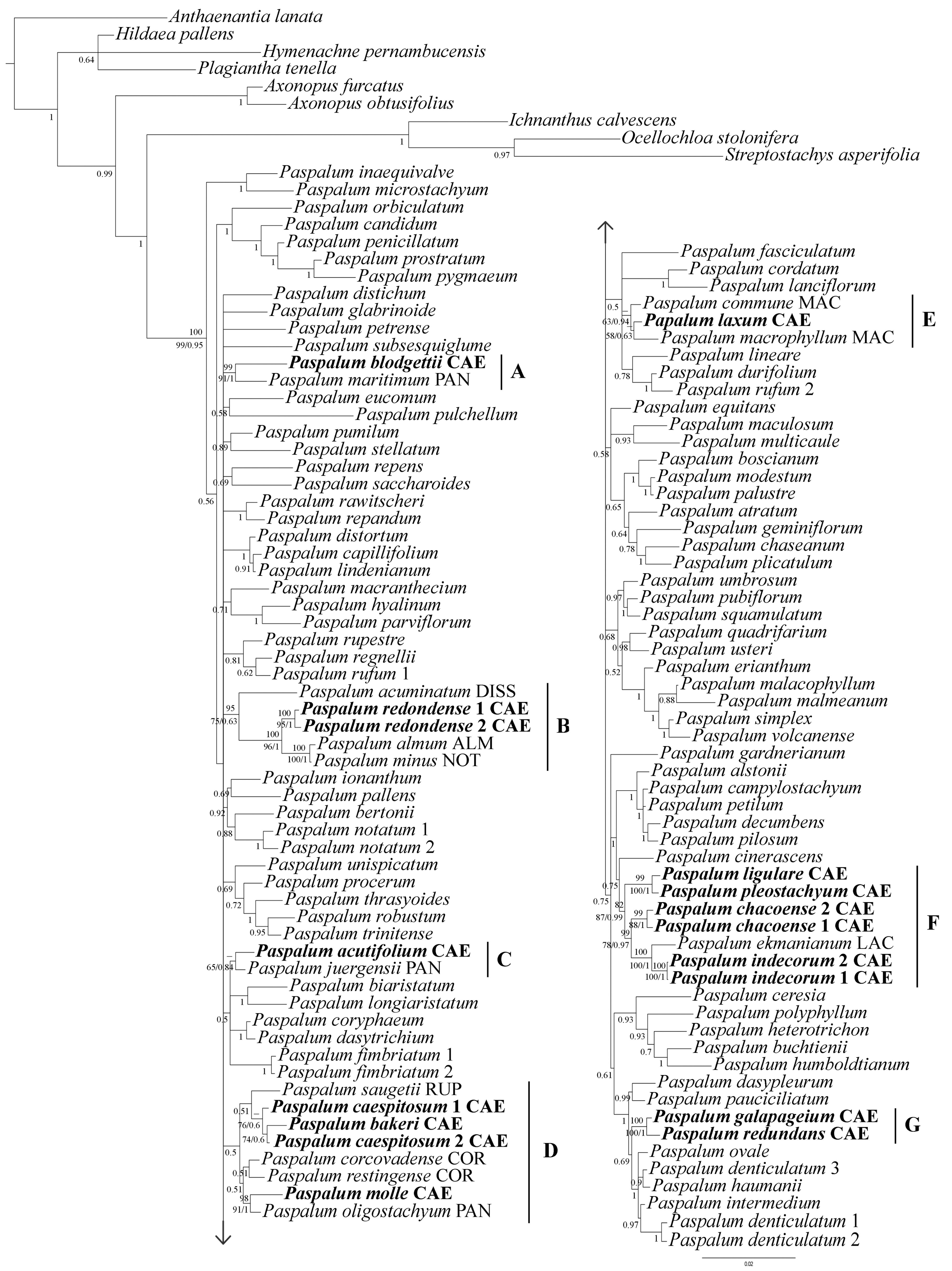 Diversity 15 00134 g001 Diversity 15 00134 g001