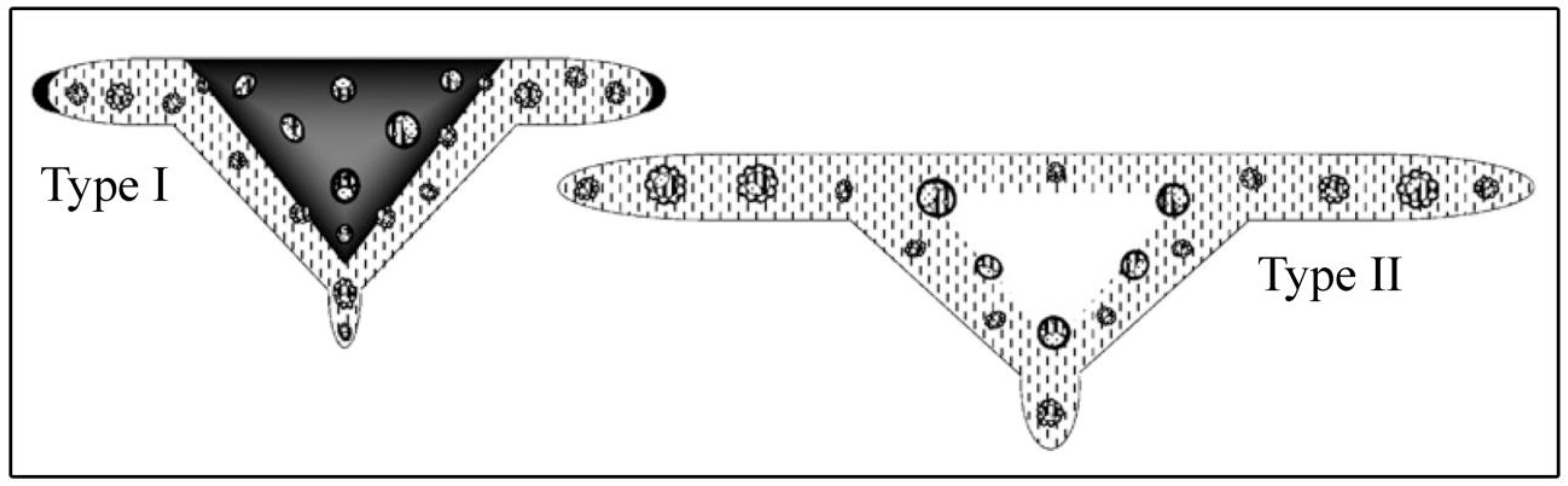 Diversity 15 00134 g004 Diversity 15 00134 g004
