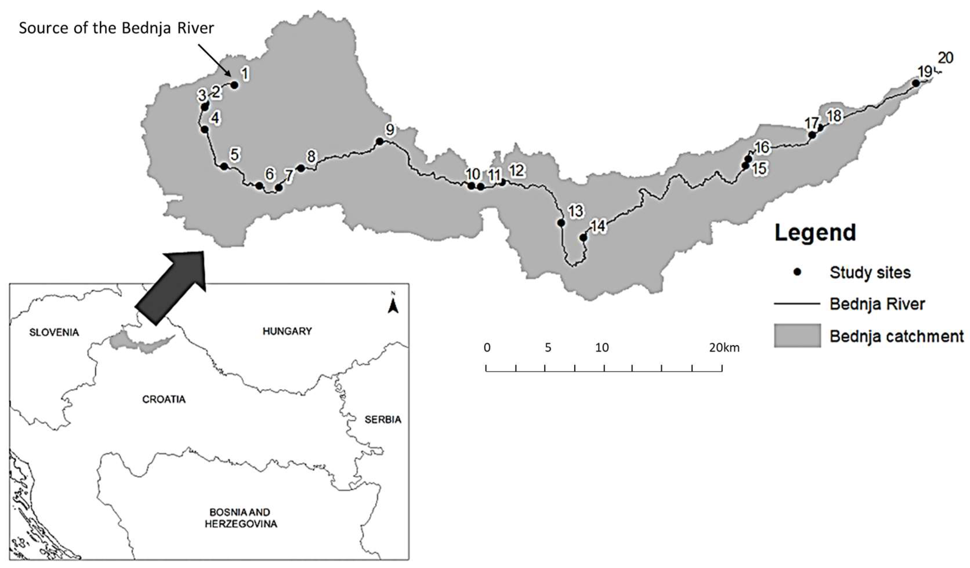 Diversity 15 00139 g001