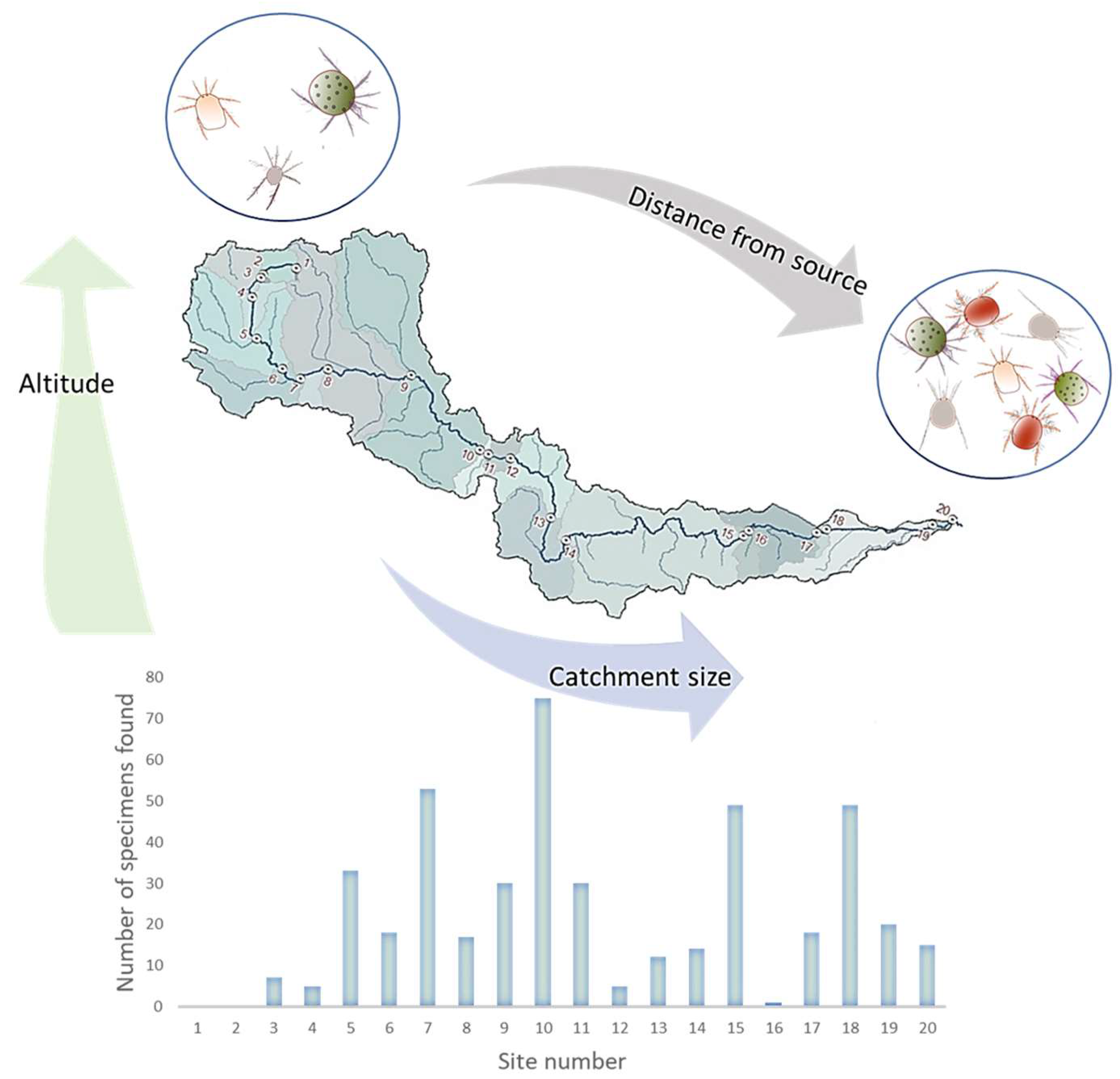 Diversity 15 00139 g002