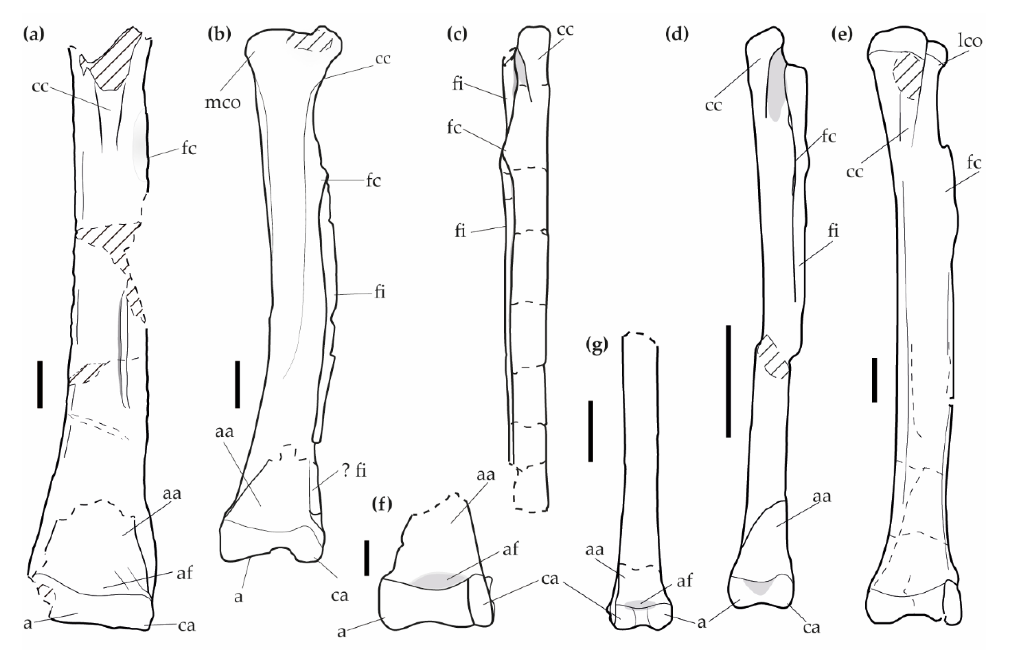 Diversity 15 00141 g002