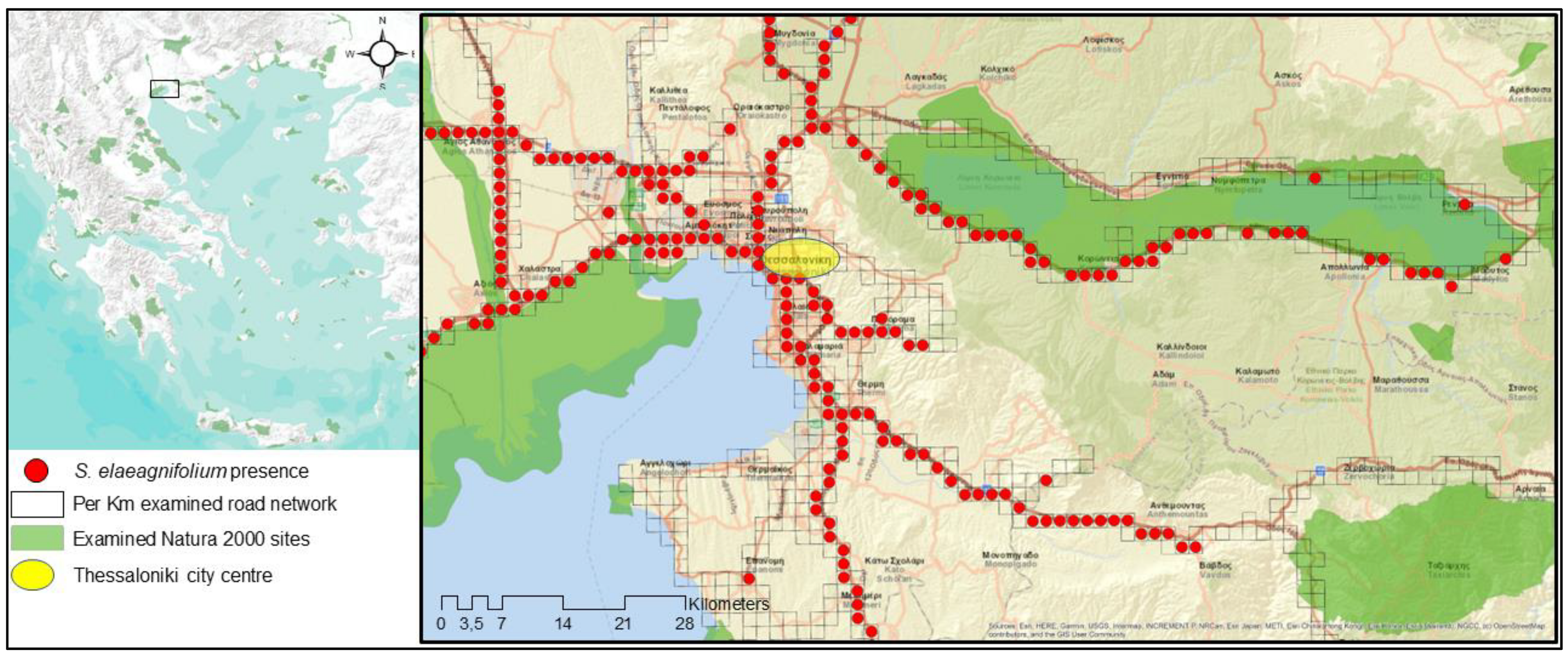 Diversity 15 00143 g002