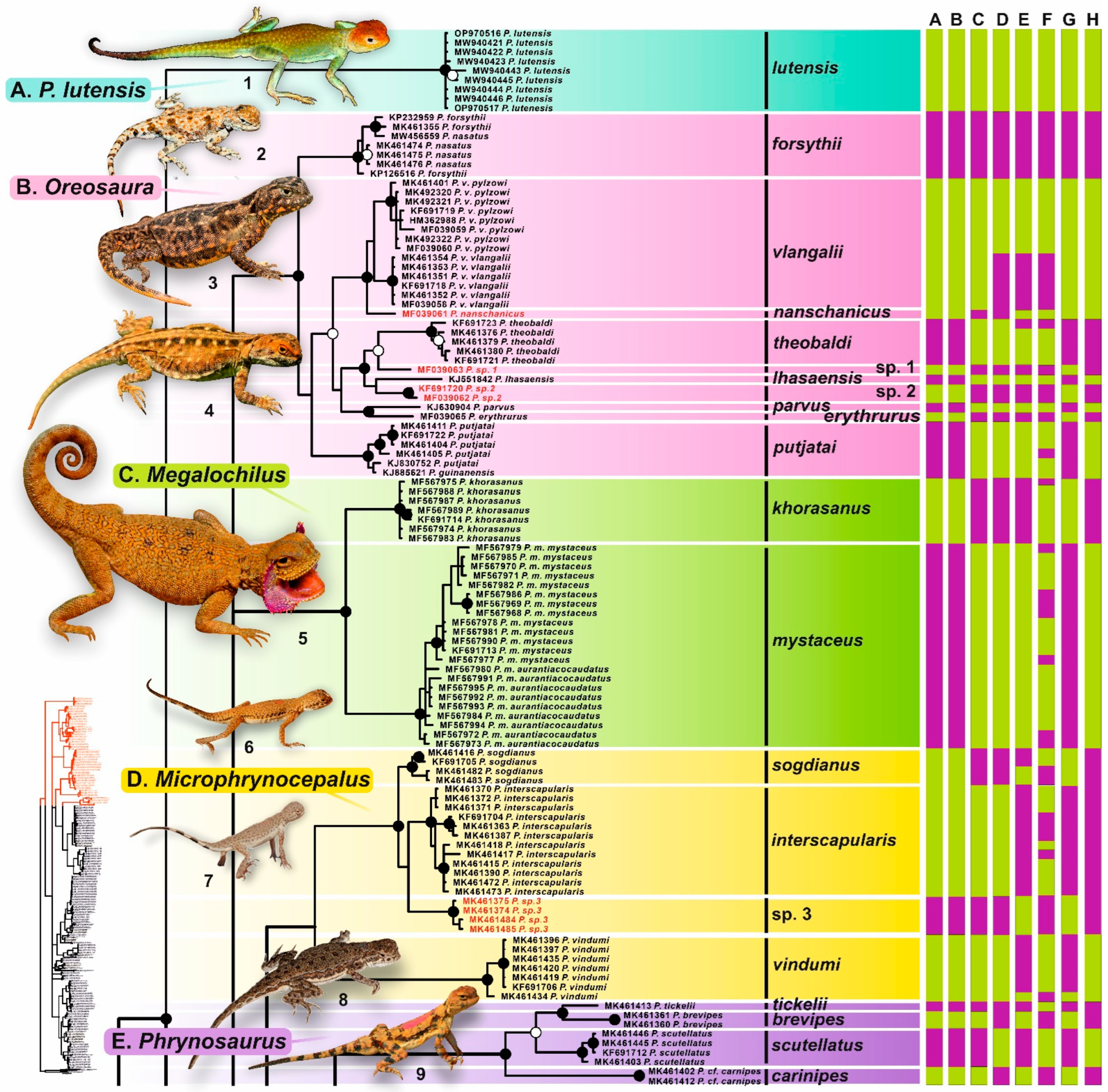 Diversity 15 00149 g002