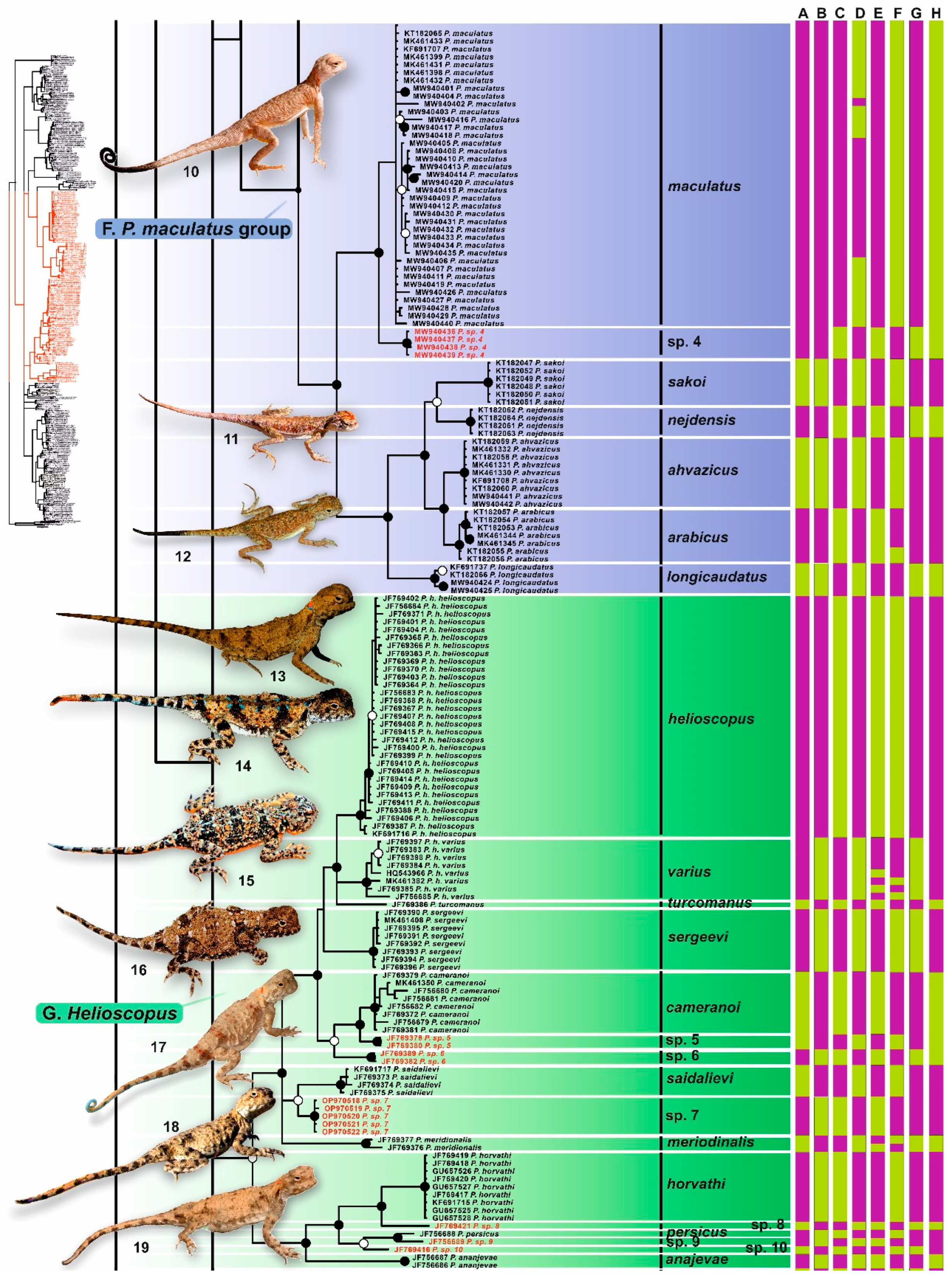 Diversity 15 00149 g003