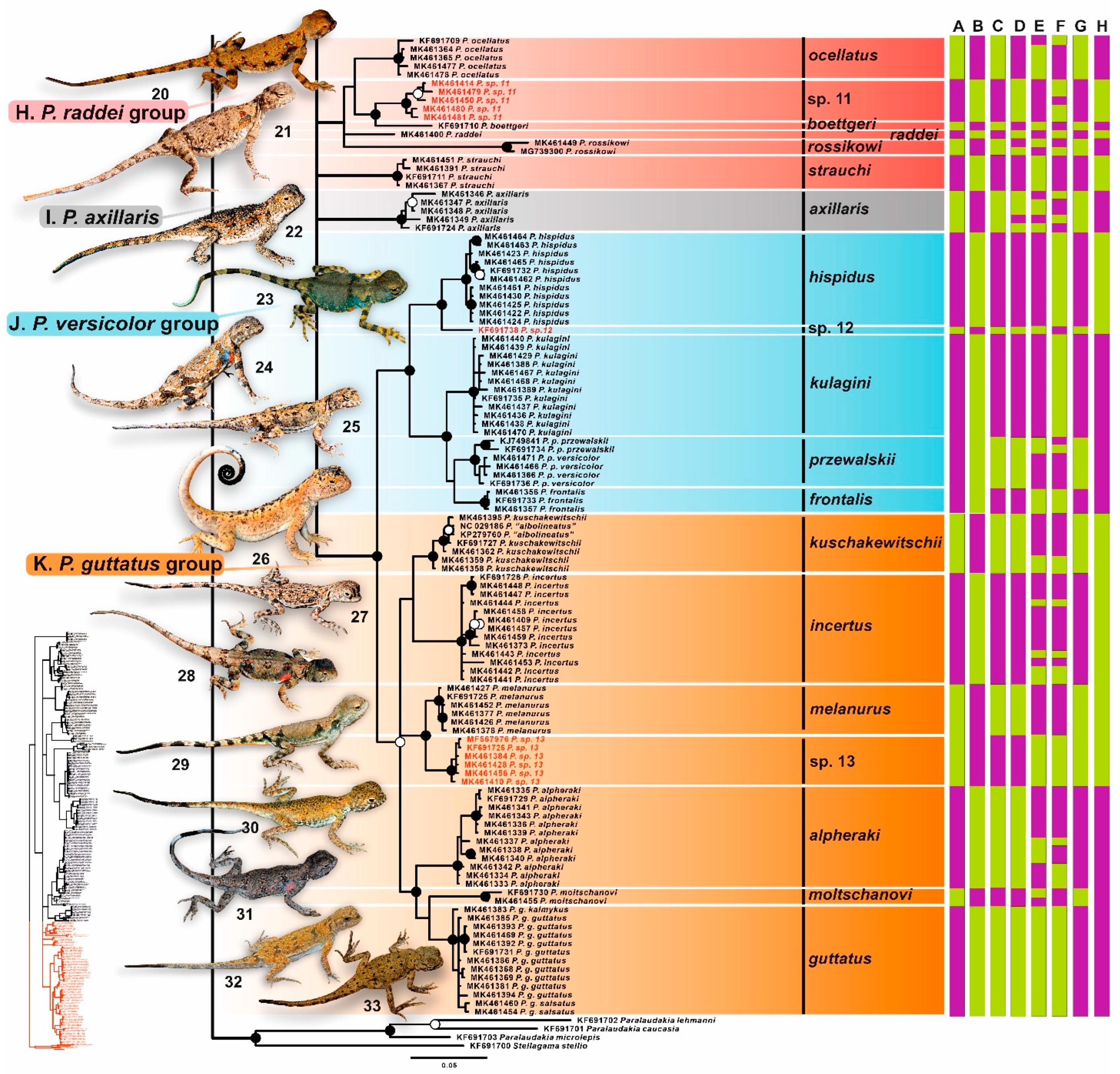Diversity 15 00149 g004